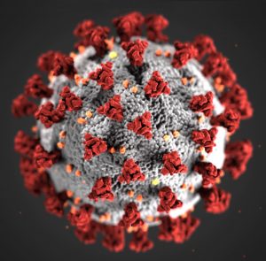 Artists rendering of Coronavirus